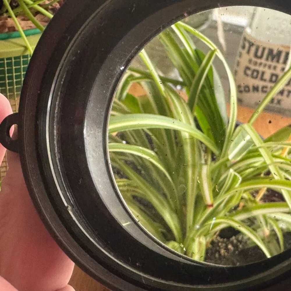 Projection Optics 14-inch Transpaque 6000 Lens, Vintage Circa 1950s